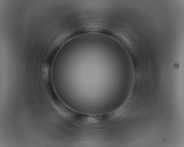 X0000091580166200708201216
