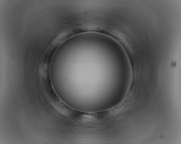 X0000091580167200708201216