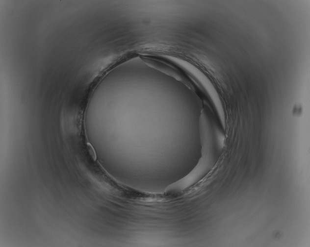 X0000091580168200708201216