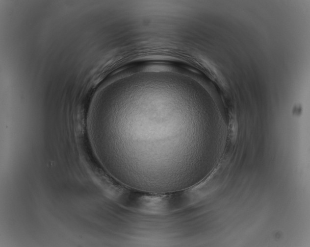 X0000091580170200708201216