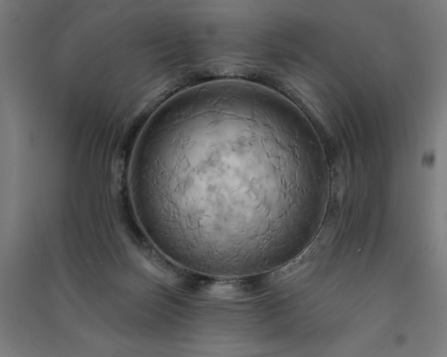 X0000091580171200708201216