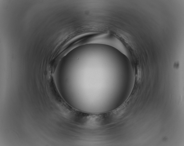 X0000091580172200708201216