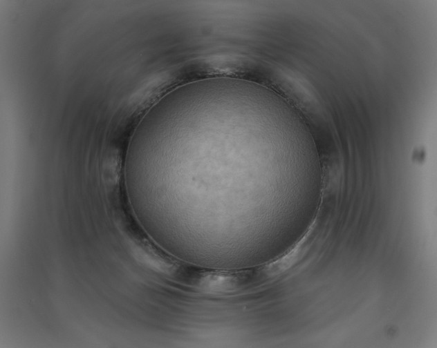 X0000091580174200708201216