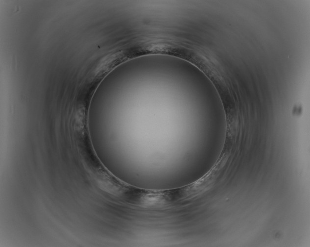 X0000091580175200708201216
