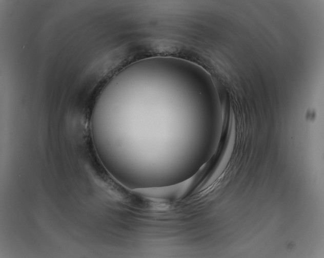 X0000091580176200708201216