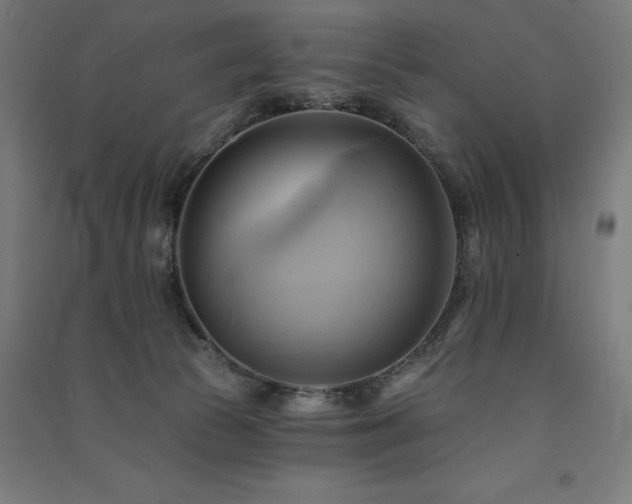 X0000091580177200708201216