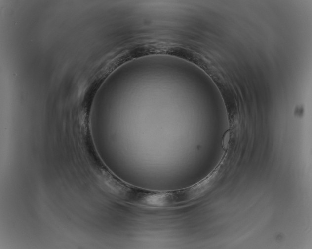 X0000091580178200708201216