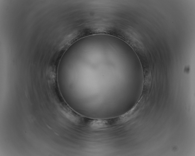 X0000091580179200708201216