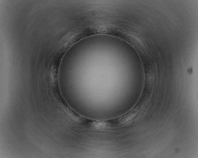 X0000091580181200708201216