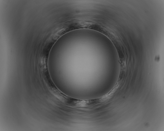 X0000091580182200708201216