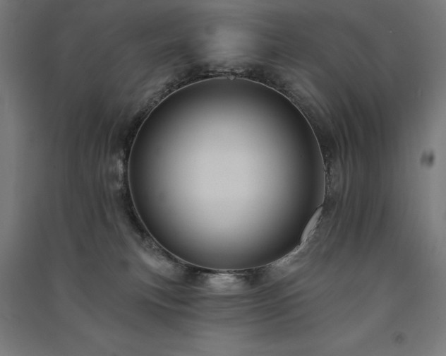 X0000091580183200708201216