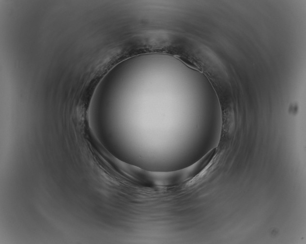 X0000091580184200708201216