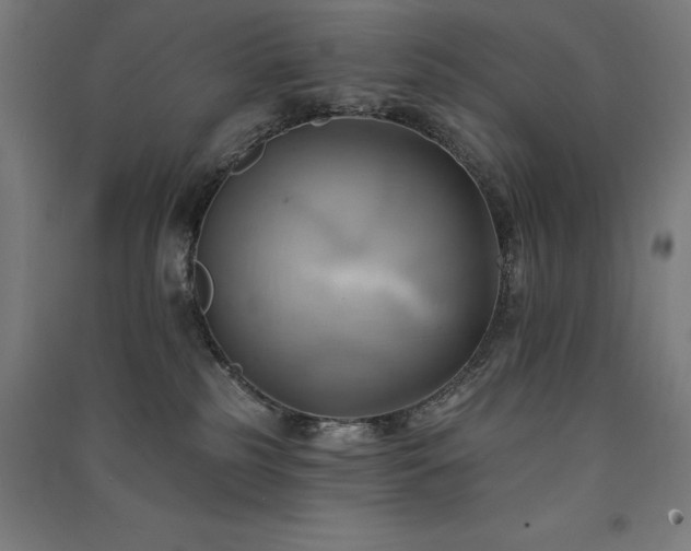 X0000091580185200708201216