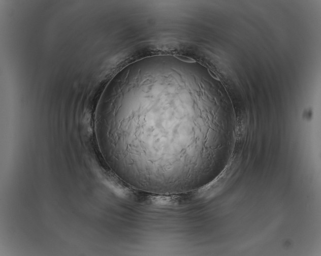 X0000091580187200708201216