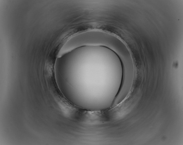X0000091580188200708201216