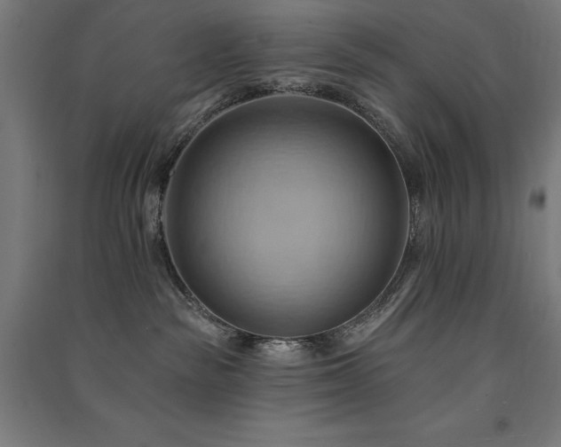 X0000091580189200708201216