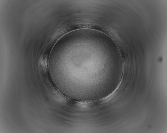 X0000091580190200708201216