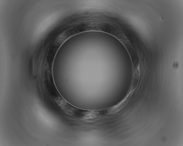 X0000091580191200708201216