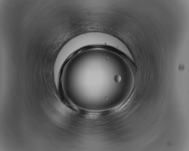X0000091580192200708201216