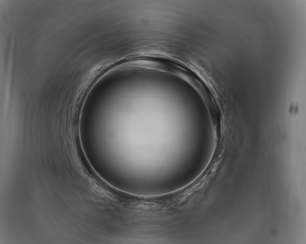X0000091580193200708201215