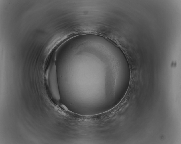 X0000091580194200708201215