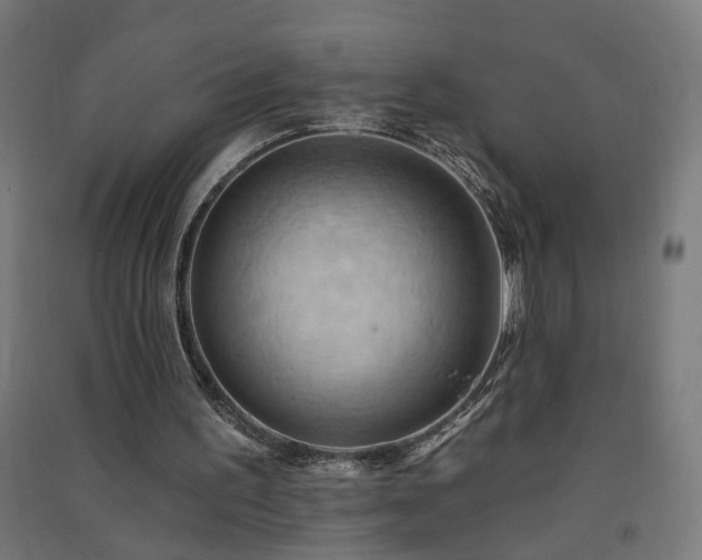 X0000091580195200708201215