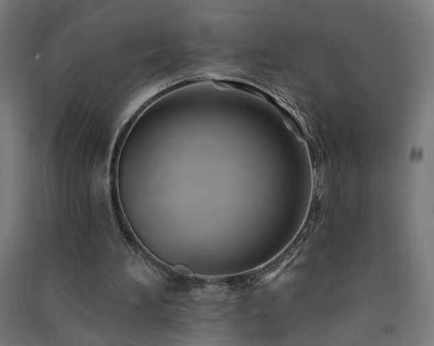 X0000091580196200708201215