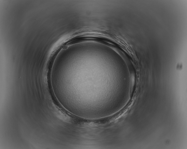 X0000091580197200708201215