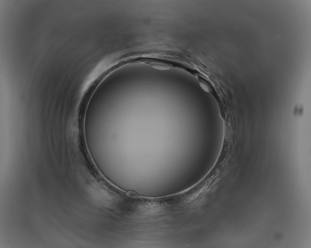 X0000091580198200708201215