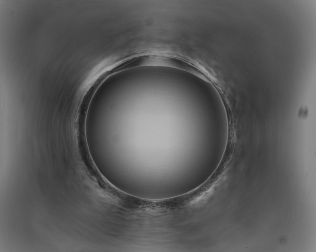 X0000091580199200708201215