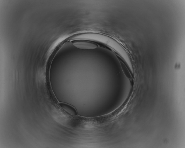 X0000091580200200708201215