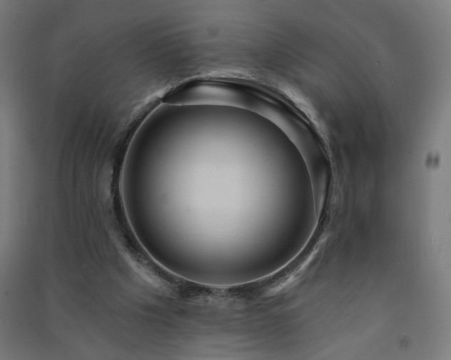 X0000091580201200708201215