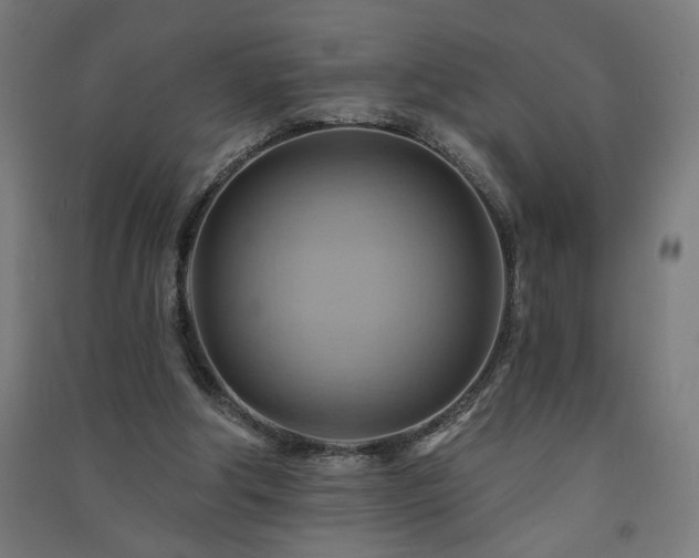 X0000091580202200708201215