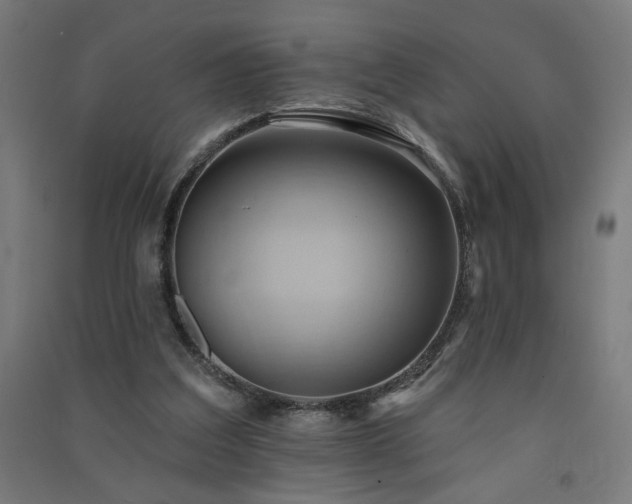 X0000091580203200708201215