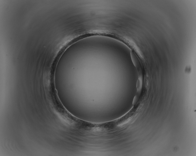X0000091580204200708201215