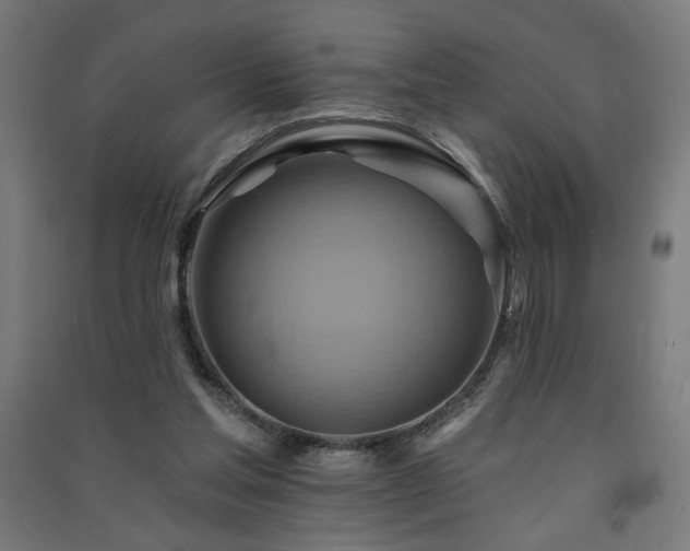 X0000091580205200708201215