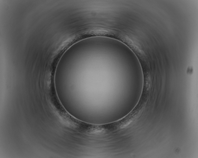 X0000091580206200708201215
