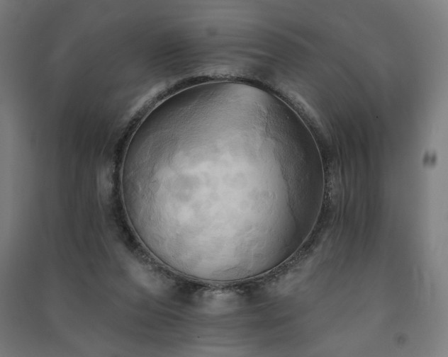 X0000091580208200708201215