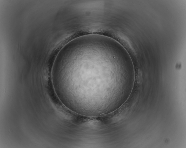 X0000091580210200708201215