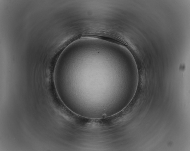 X0000091580211200708201215
