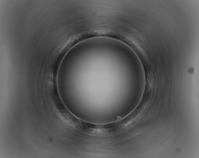 X0000091580212200708201215