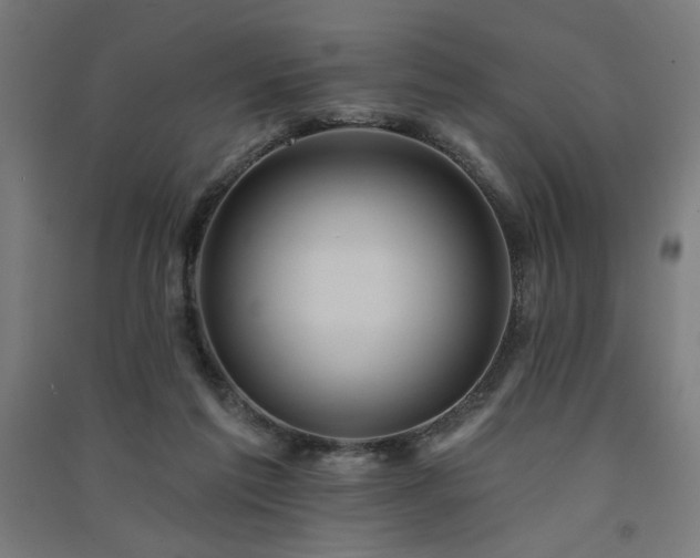 X0000091580213200708201215