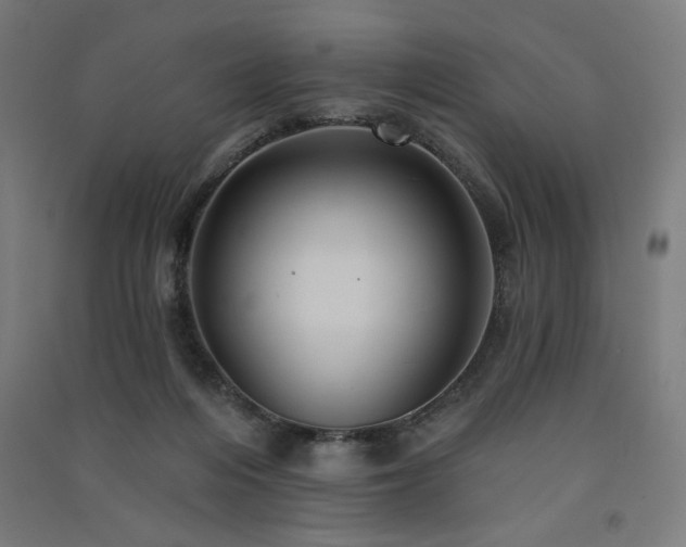 X0000091580216200708201215