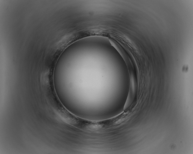X0000091580217200708201215