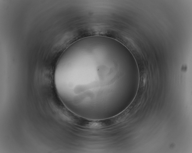 X0000091580218200708201215