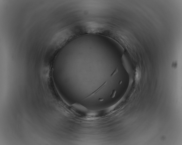 X0000091580219200708201215