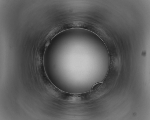 X0000091580220200708201215