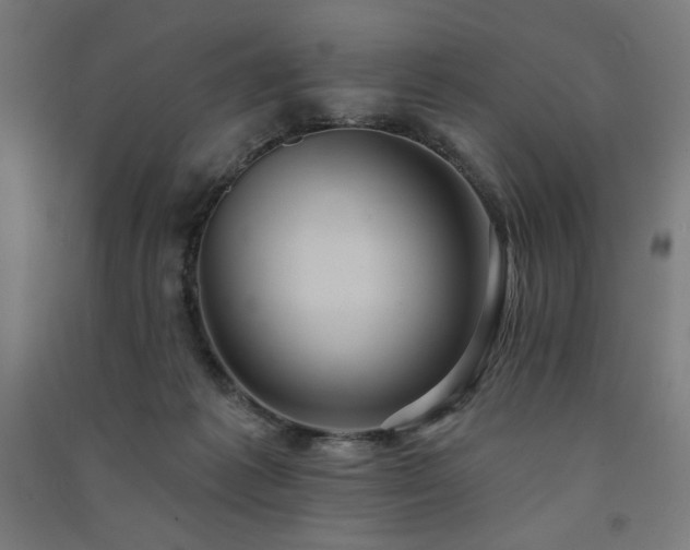 X0000091580221200708201215