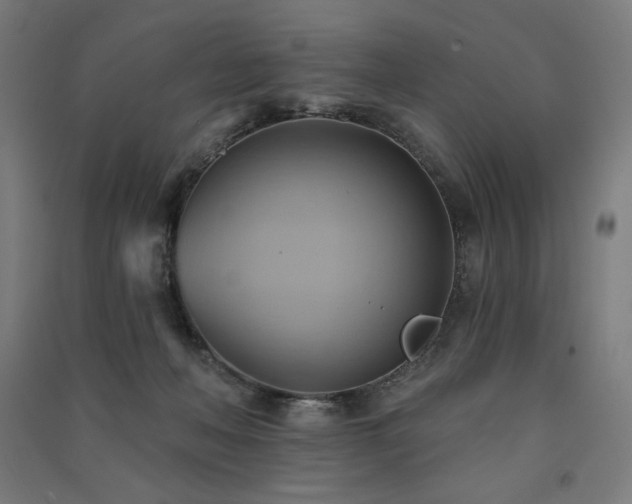 X0000091580222200708201215