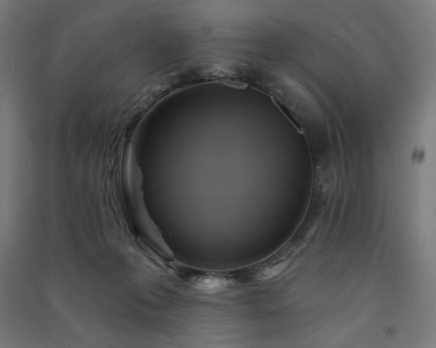 X0000091580223200708201215